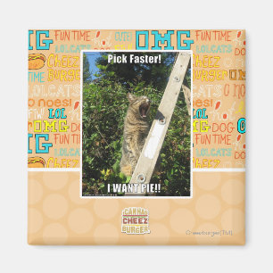 Aimant Choisissez Plus Rapidement !