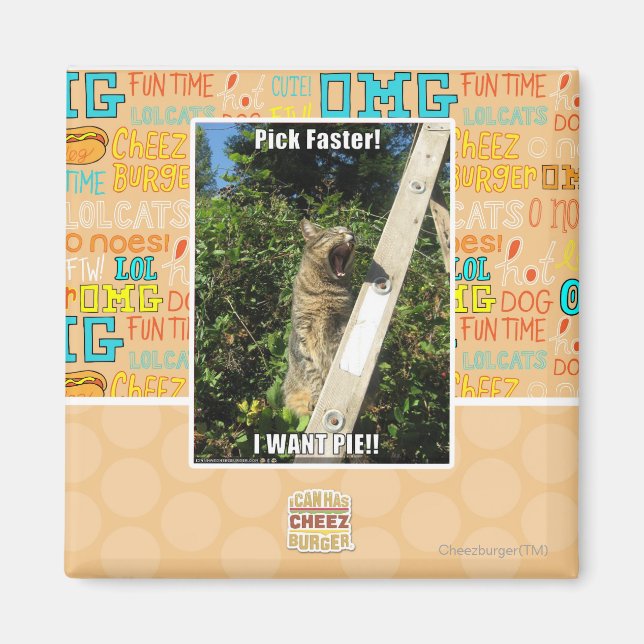 Aimant Choisissez Plus Rapidement ! (Devant)