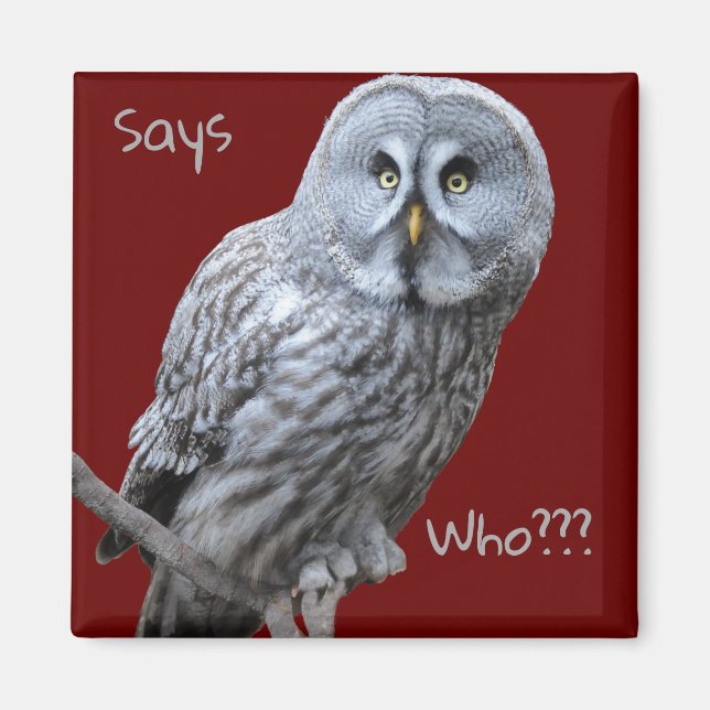 Aimant Chouette grise (Devant)