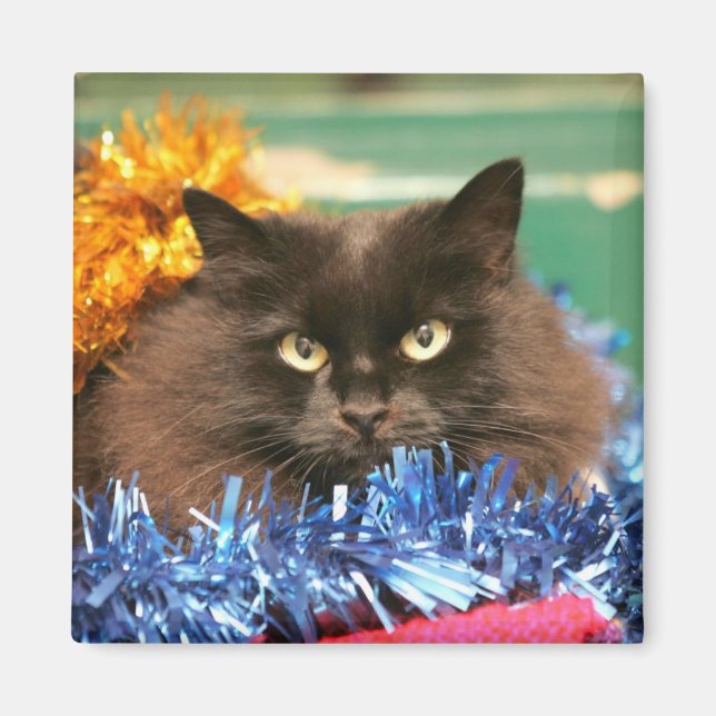 Aimant Christmas Cat (Devant)