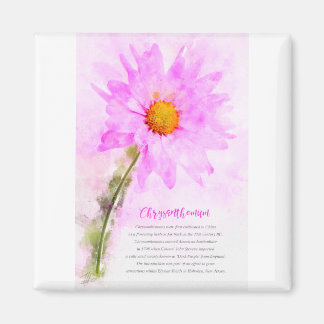 Aimant Chrysanthème