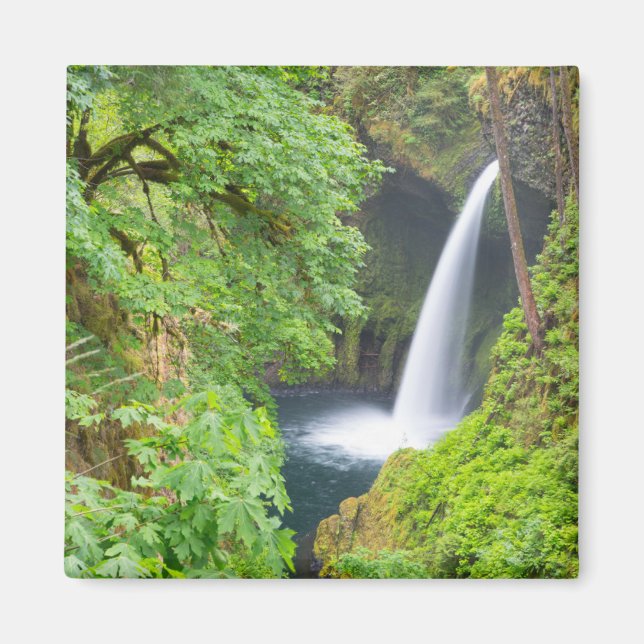 Aimant Chutes Metlako (Devant)