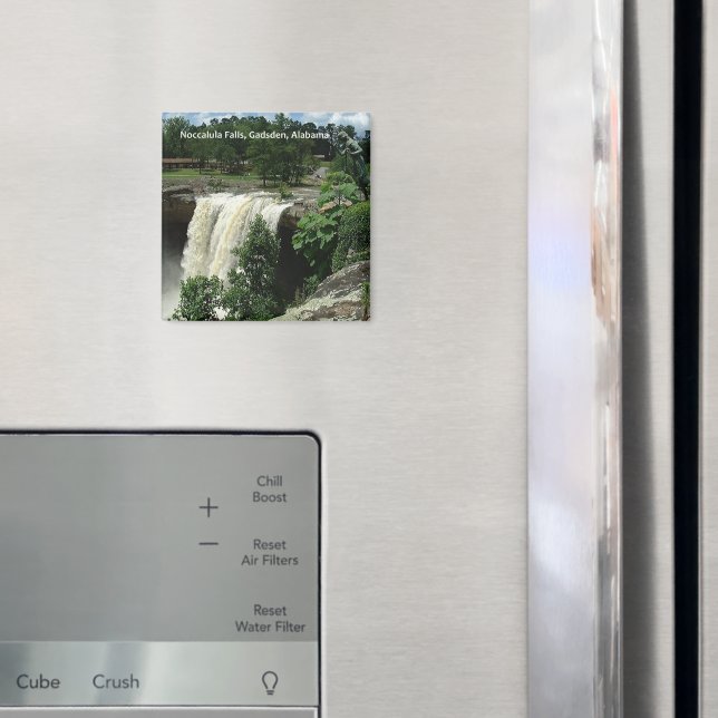 Aimant Chutes Noccalula, Gadsden, Alabama (In situ (réfrigérateur))