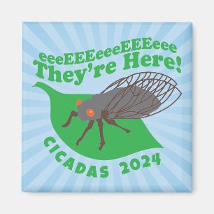 Aimant Cicadas 2024 Ils sont ici