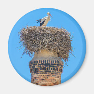 Aimant Cigogne adulte dans le nid sur chimney.JPG
