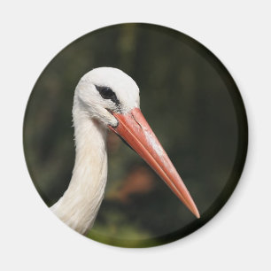 Aimant Cigogne - symbole de Strasbourg et d'Alsace, Franc