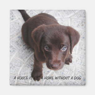 Aimant Citation de chiot