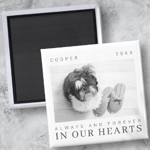 Aimant Citation Pet Memorial Simple Modern Chic Photo
