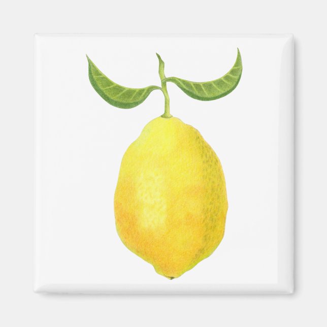 Aimant citron (Devant)