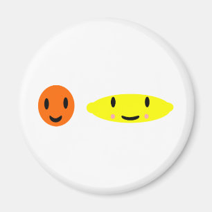 Aimant Citron et orange 2