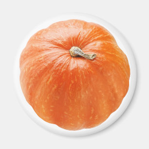 Aimant Citrouille