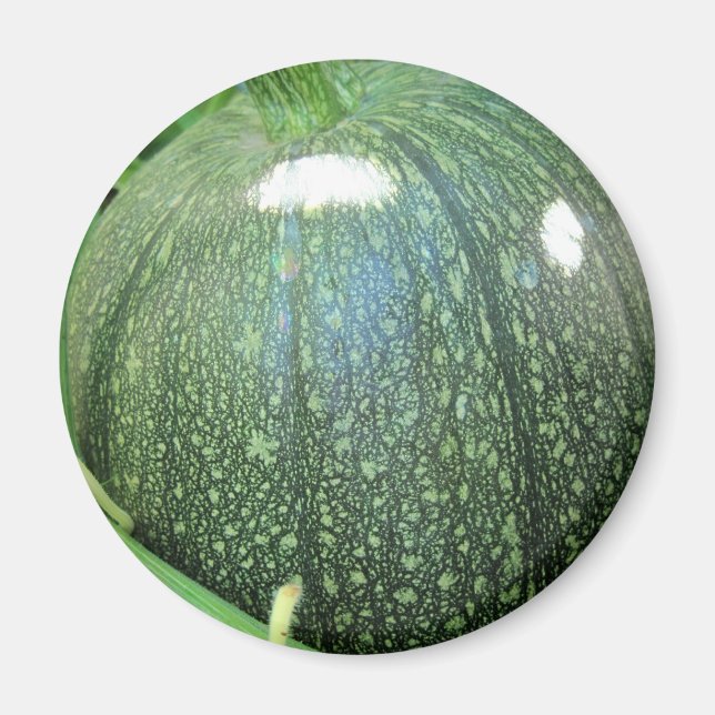 Aimant Citrouille vert (Devant)
