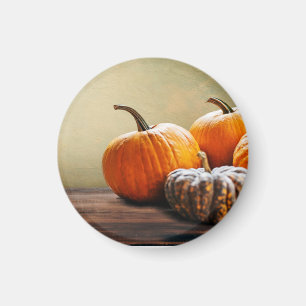 Aimant Citrouilles d'automne. Thanksgiving et Halloween t