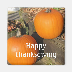 Aimant Citrouilles du pays de Thanksgiving