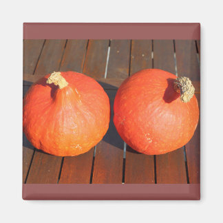 Aimant Citrouilles sur une table en bois