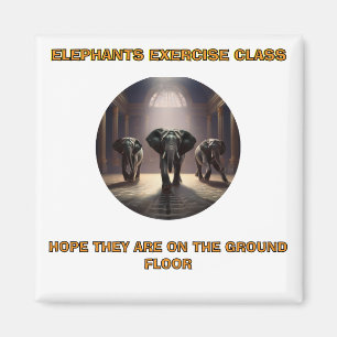Aimant Classe de danse des éléphants