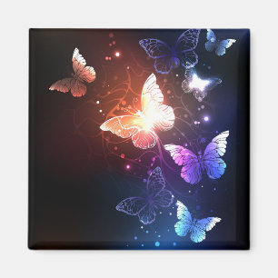 Aimant Clowing Night Butterflies