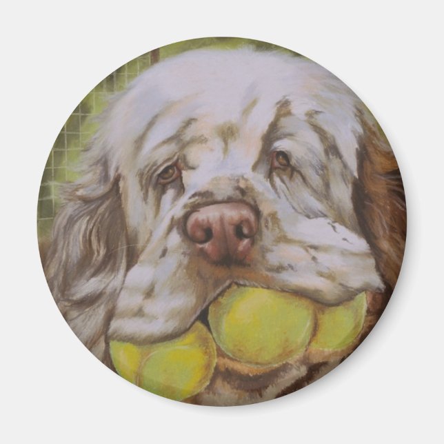 Aimant Clumber Spaniel (Devant)