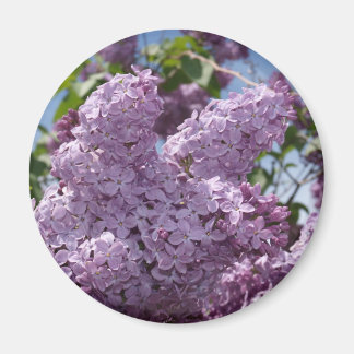 Aimant Cluster Lilac
