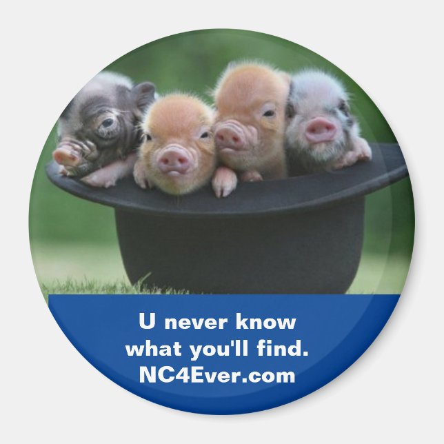 Aimant CN Shelby (Devant)