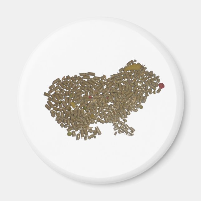 Aimant Cochon de Guinée (Devant)