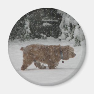 Aimant Cocker de Milou
