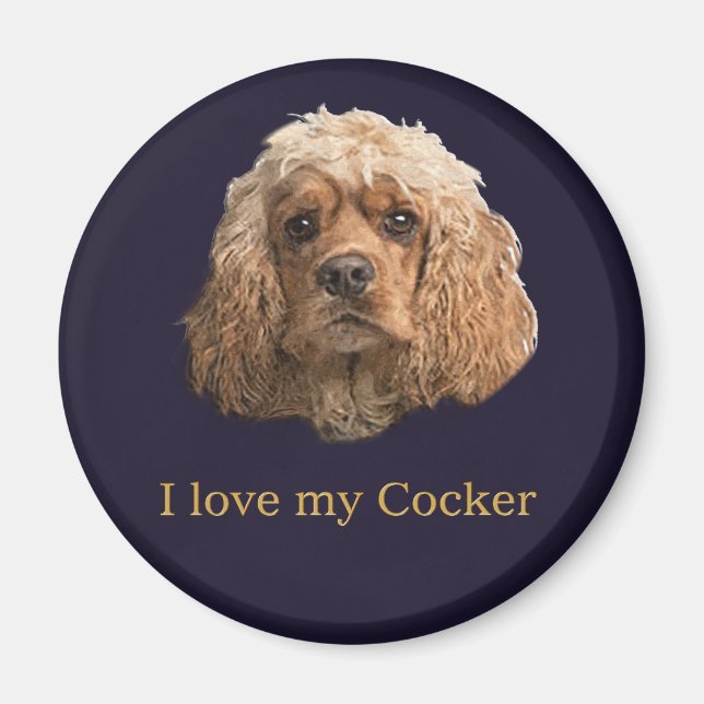 Aimant Cocker spaniel (Devant)