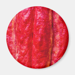Aimant cocoa pod red