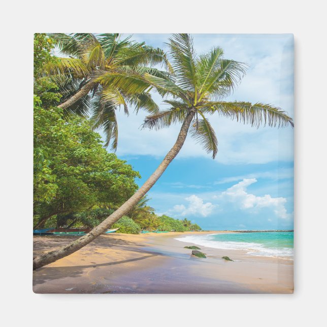 Aimant Cocout Palm, plage de Mirissa | Sri Lanka (Devant)