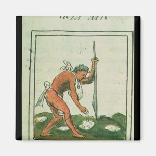 Aimant Codex florentin par Bernardino de Sahagun