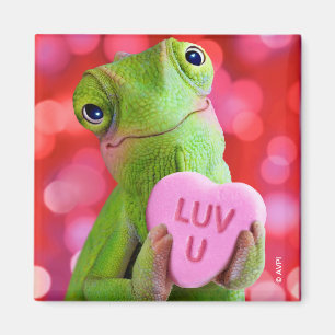 Aimant Cœur de Caméléon (Amour de toi)