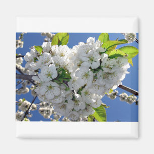 Aimant Coeur de cerisier fleuri