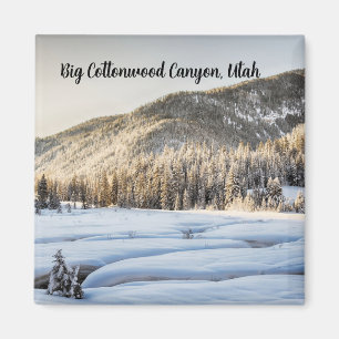 Aimant Cold Utah