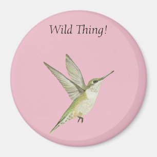 Aimant Colibri