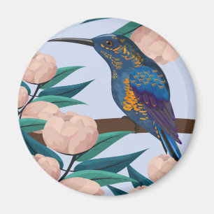 Aimant Colibri