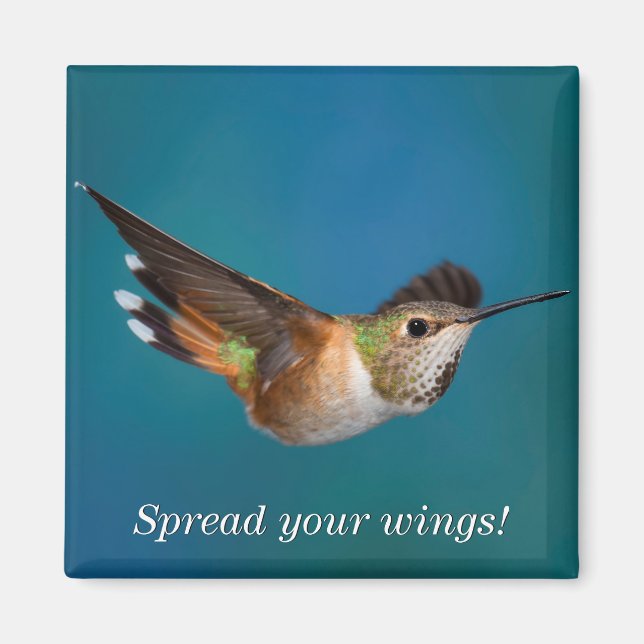 Aimant Colibri roux (Devant)