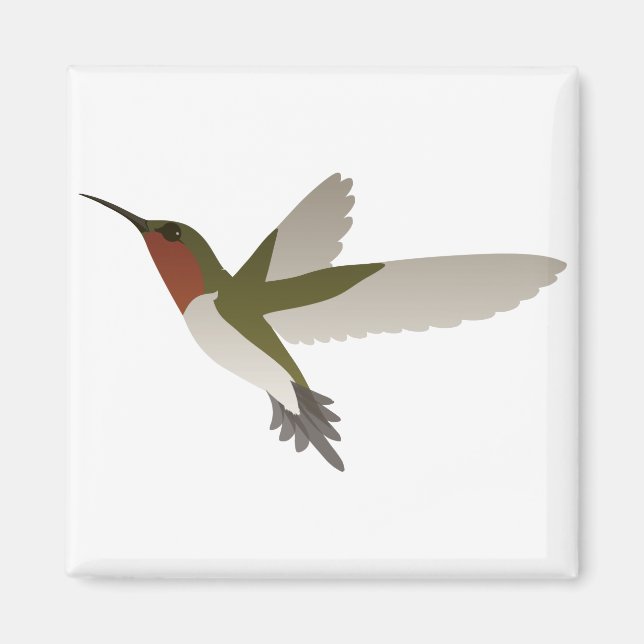 Aimant Colibri Ruby Throsé (Devant)