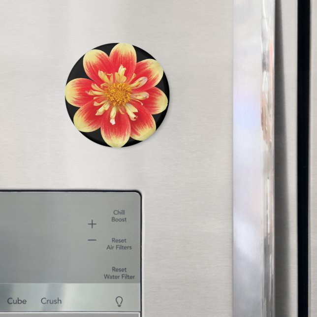 Aimant Collarette orange et jaune Dahlia Floral (In situ (réfrigérateur))