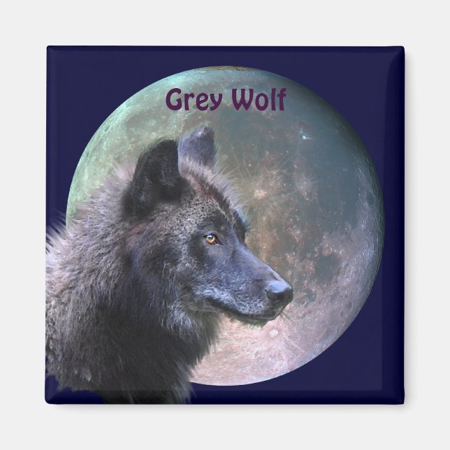 Aimant Collection de loups et de Pleines lunes gris (Devant)