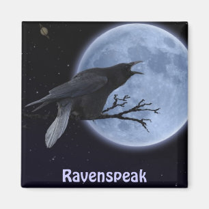 Aimant Collection MAGNETIC