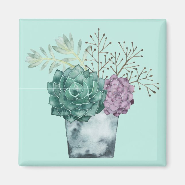 Aimant Collection plante Happy | Succulents (Devant)
