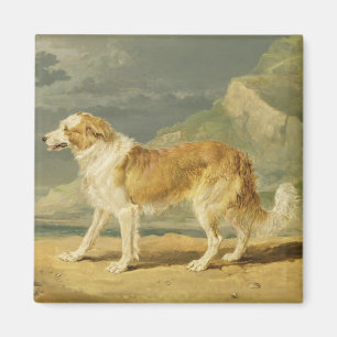 Aimant colley Rugueux-enduit, 1809 (huile à bord)