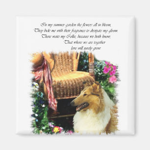 Aimant Collie Art Cadeaux Rough Sable