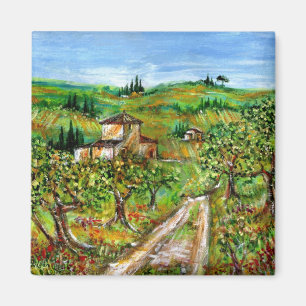 AIMANT COLLINES VERTES ET OLIVIERS DANS LE PAYSAGE TOSCAN