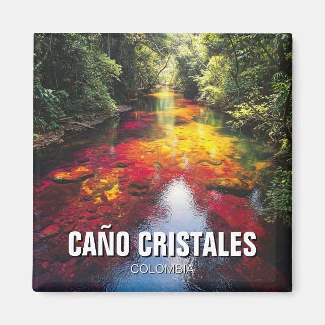 Aimant Colombia Cano Cristales Travel (Devant)