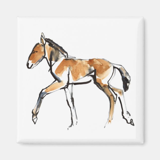 Aimant Colt (Devant)