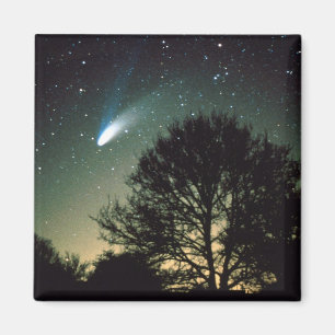 Aimant Comet Hale-Bopp et Arbre