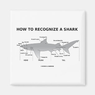 Aimant Comment identifier un requin (humour de biologie)