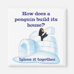 Aimant Comment un pingouin construit-il sa maison ?