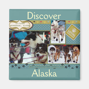 Aimant Compagnons loyaux d'Iditarod
